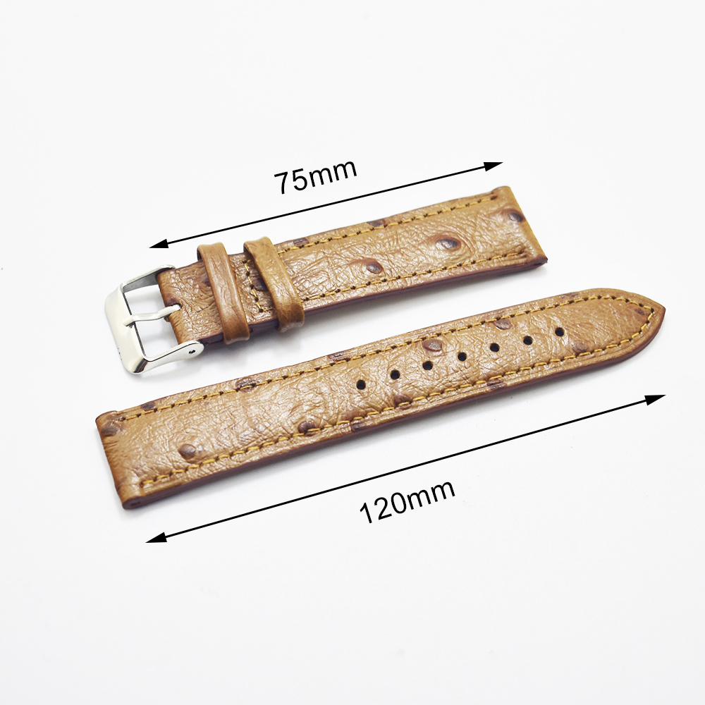 Handgefertigte Uhrenarmbänder  – Curved Spring Bar Bewertung und Preis